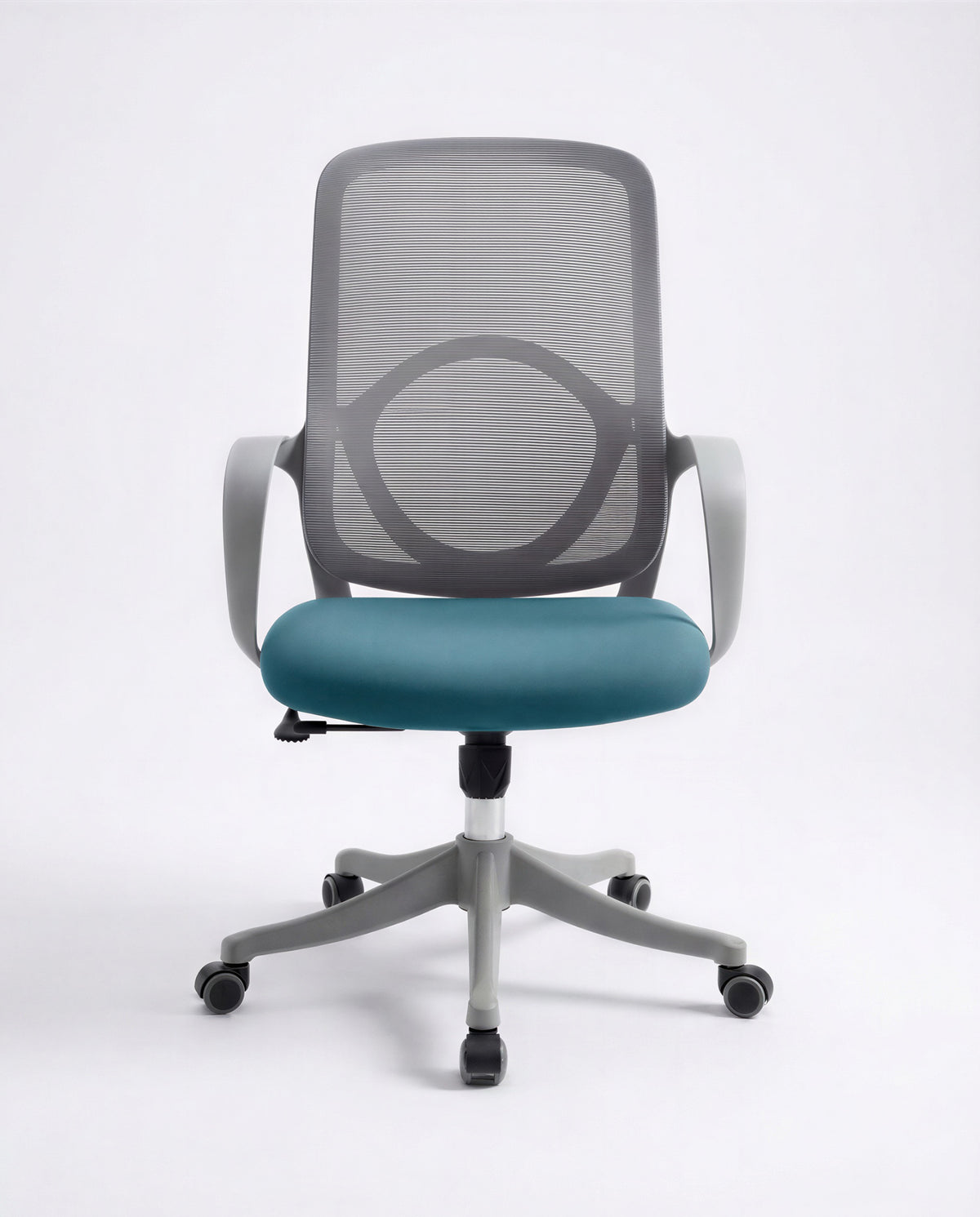 Ergonomska Stolica ErgoNova Sivo-Plava