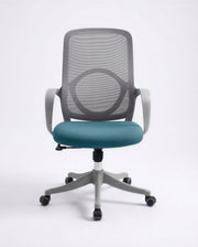 Ergonomska Stolica ErgoNova Sivo-Plava