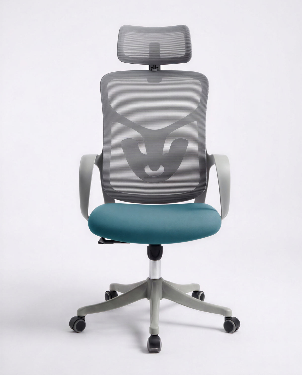 Ergonomska Stolica ErgoPlus Sivo-Plava