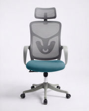 Ergonomska Stolica ErgoPlus Sivo-Plava
