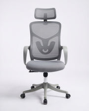 Ergonomska Stolica ErgoPlus Siva