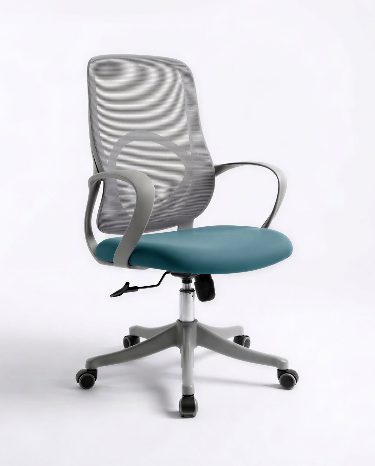 Ergonomska Stolica ErgoNova Sivo-Plava