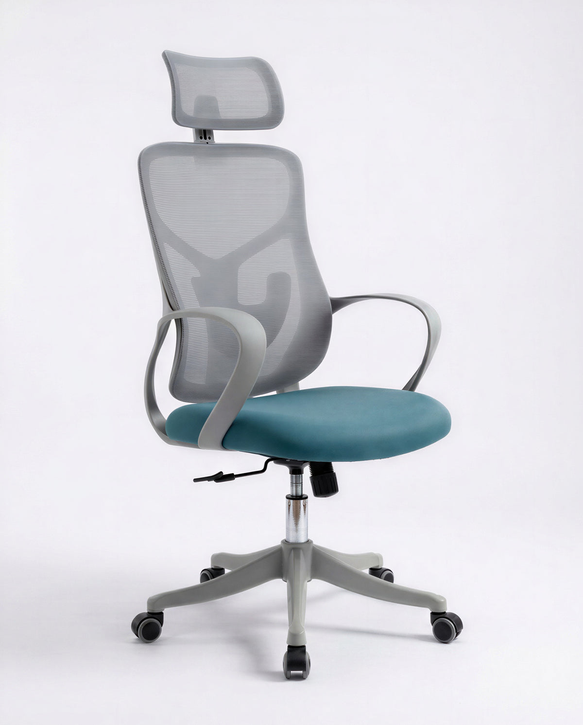 Ergonomska Stolica ErgoPlus Sivo-Plava
