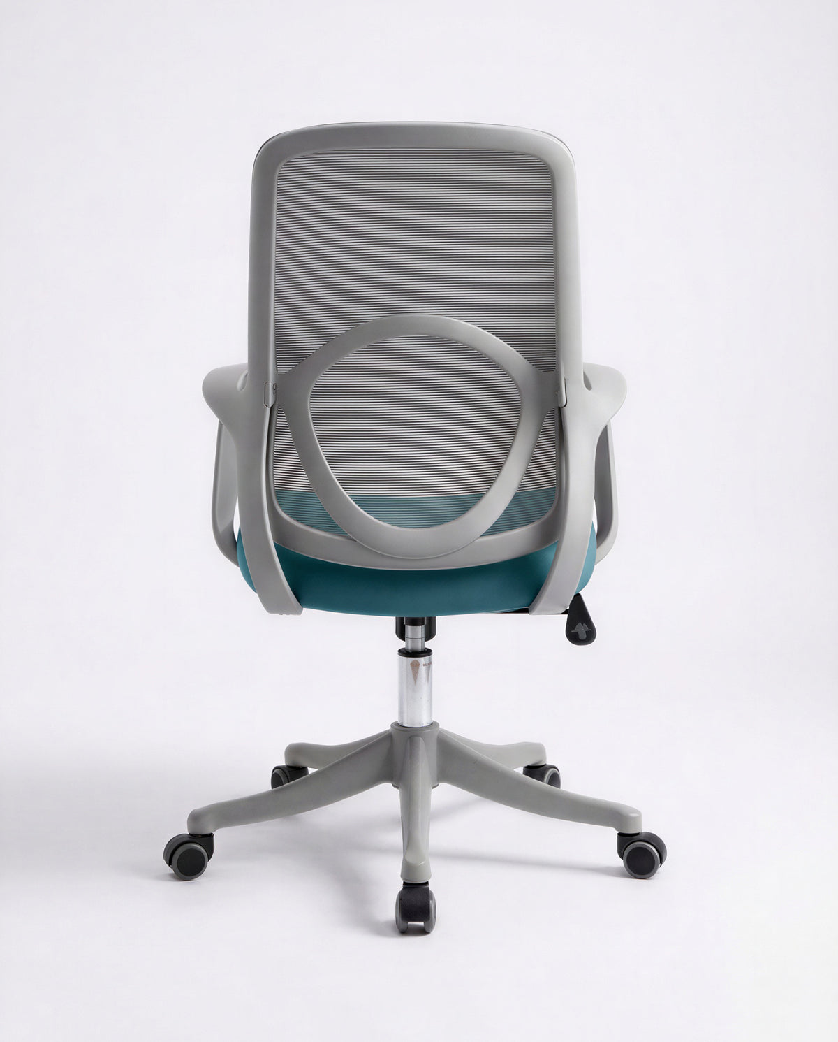 Ergonomska Stolica ErgoNova Sivo-Plava