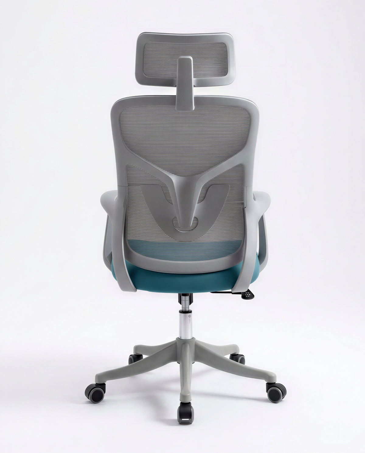 Ergonomska Stolica ErgoPlus Sivo-Plava
