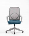 Ergonomska stolica - ErgoNova Sivo-Plava