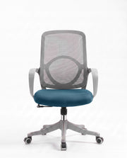 Ergonomska stolica - ErgoNova Sivo-Plava