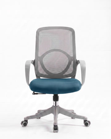 Ergonomska stolica - ErgoNova Sivo-Plava