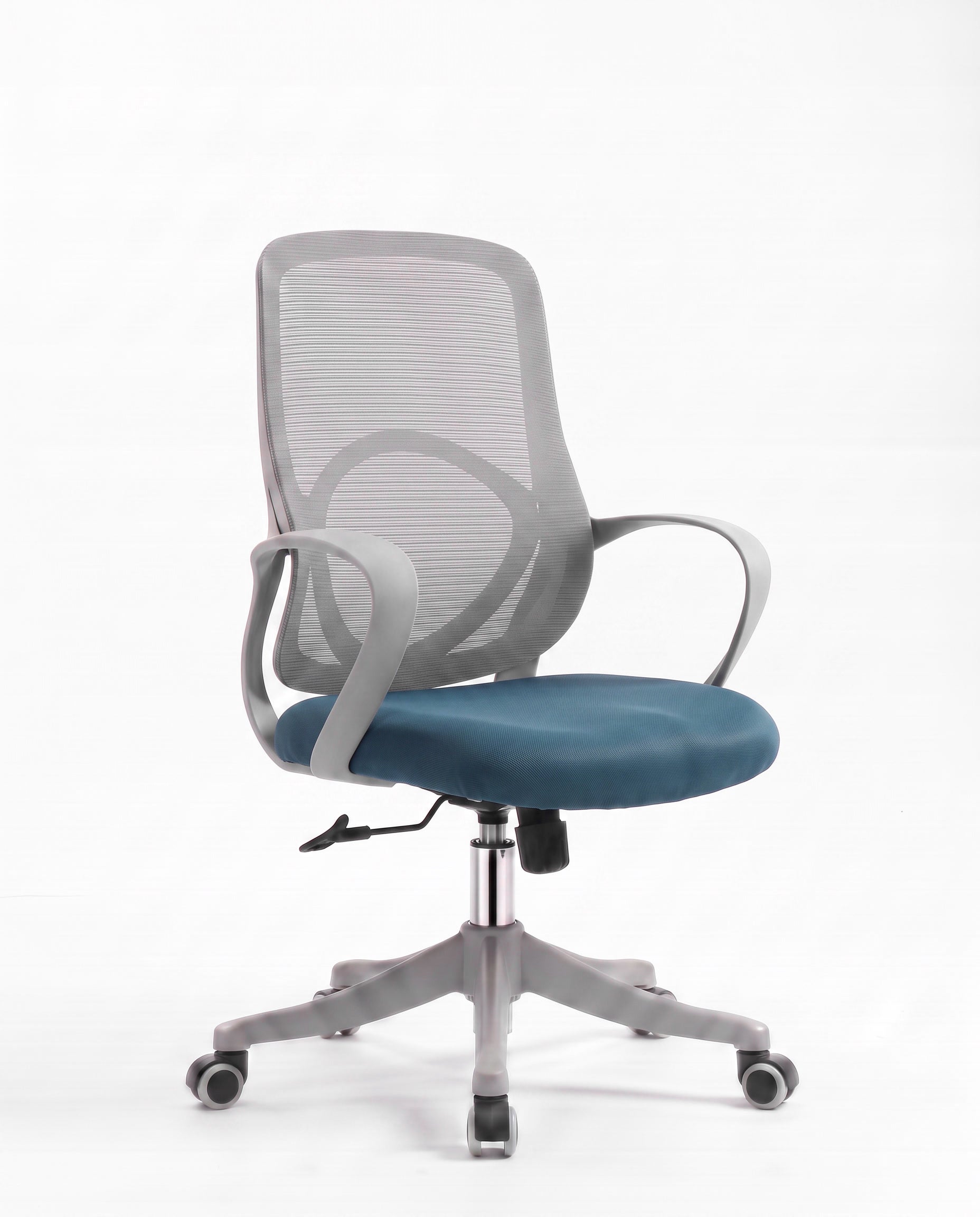 Ergonomska stolica - ErgoNova Sivo-Plava