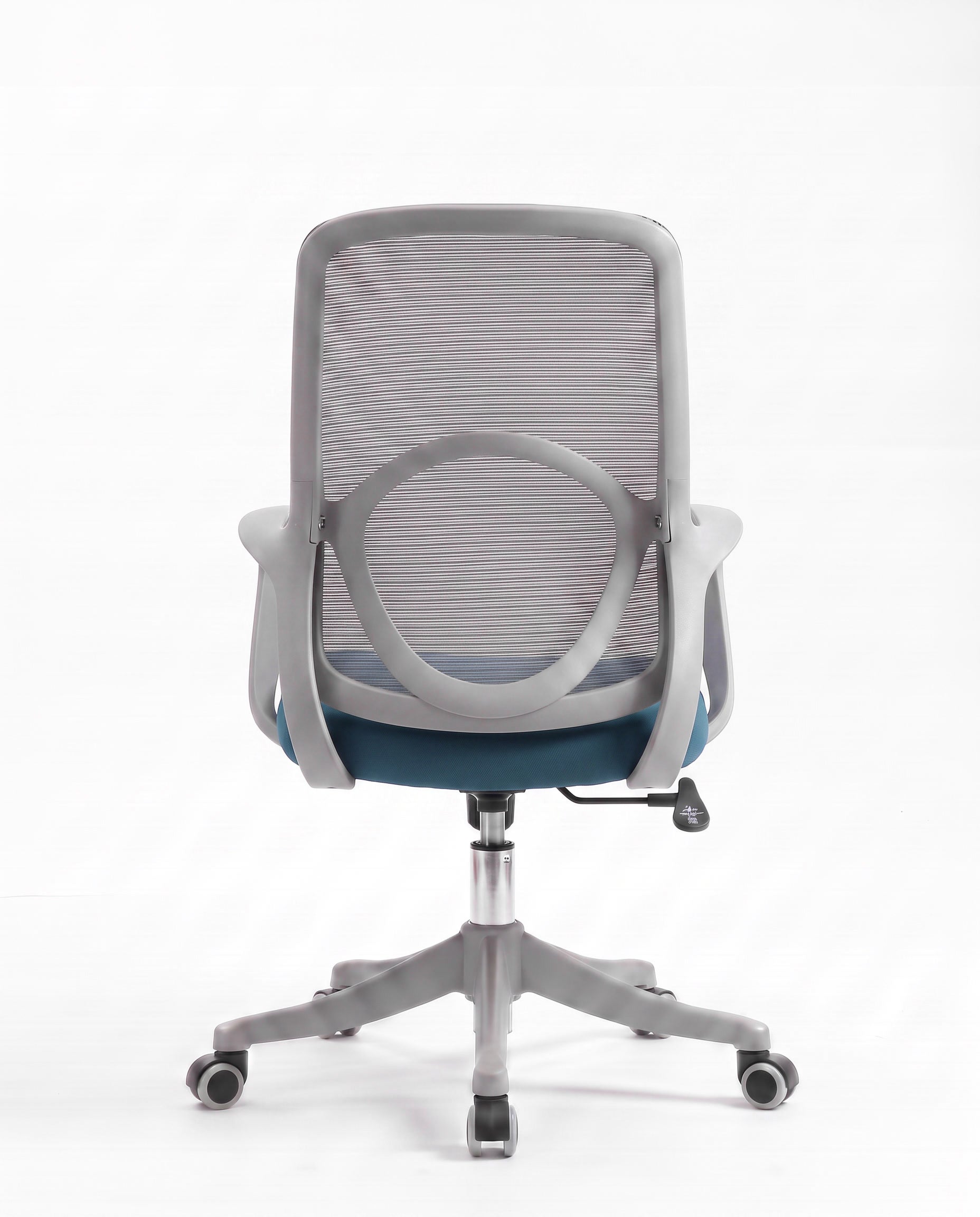Ergonomska stolica - ErgoNova Sivo-Plava