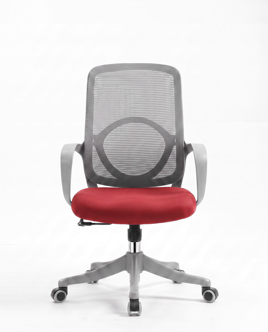 Ergonomska stolica - ErgoNova Sivo-Crvena
