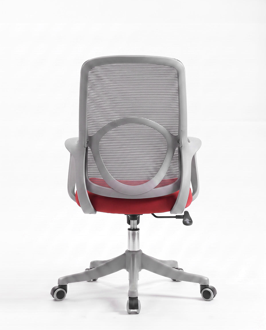 Ergonomska stolica - ErgoNova Sivo-Crvena