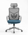 Ergonomska stolica - ErgoPlus Sivo-Plava