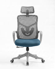 Ergonomska stolica - ErgoPlus Sivo-Plava