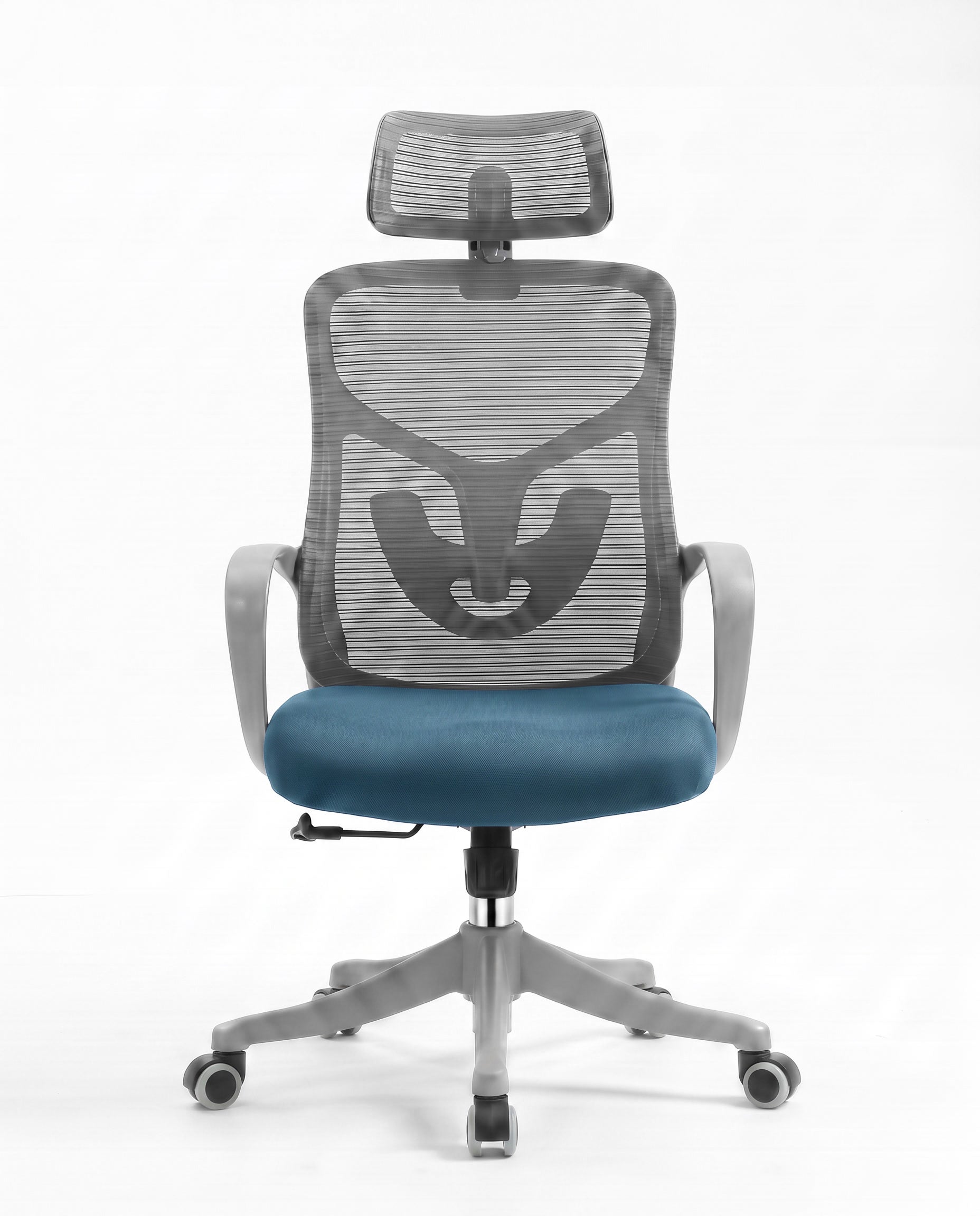 Ergonomska stolica - ErgoPlus Sivo-Plava