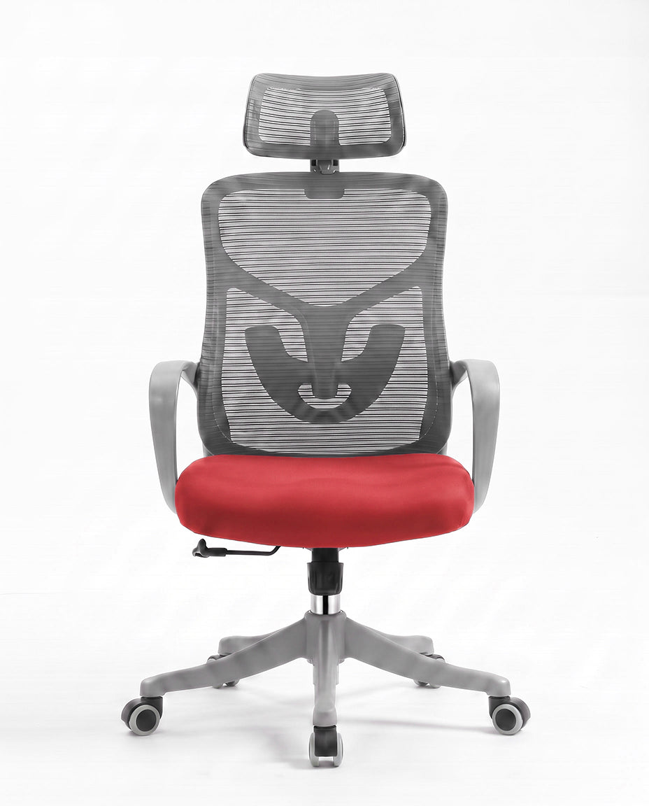 Ergonomska stolica - ErgoPlus Sivo-Crvena