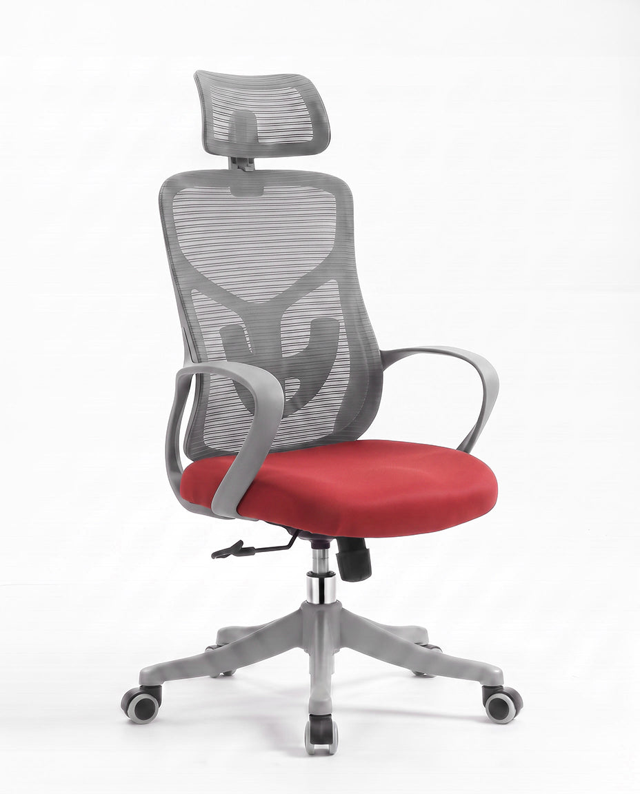 Ergonomska stolica - ErgoPlus Sivo-Crvena
